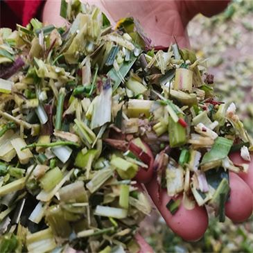 750-kg-h-straw-cutting-grass-machine-for