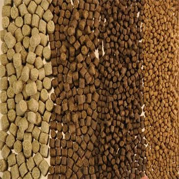 100-1000kg-h-fish-poultry-animal-feed-pellet