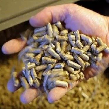 5mm Mini Wood Sawdust Pellet Machine