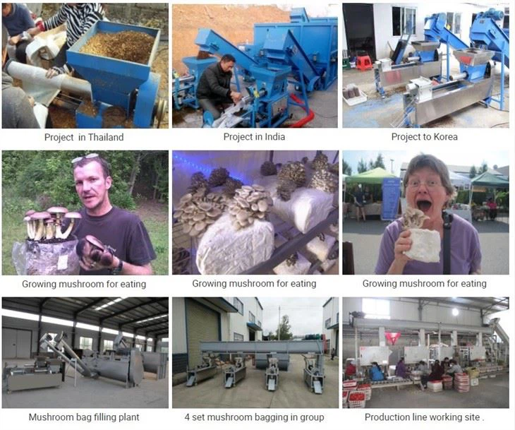 Mushroom Edible Fungus Growing Plastic Bag Filling Machine