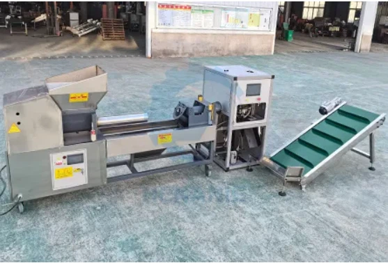 Chaw-Txuag Hnab Tshuab Rau Mushroom