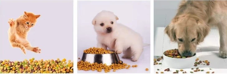 pet food pet food