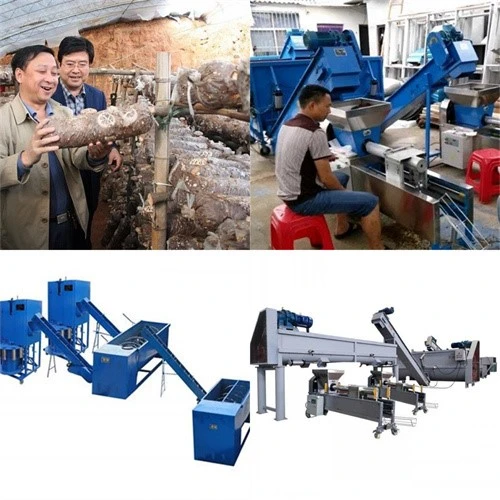 Mushroom bagging line Mushroom bagging line